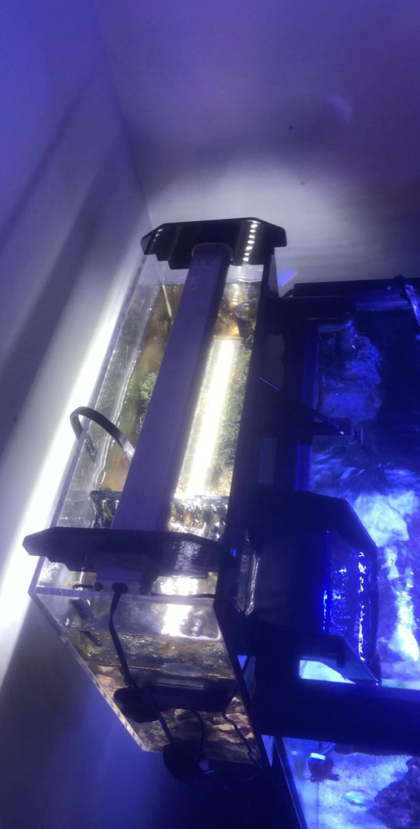 Refugium.jpg