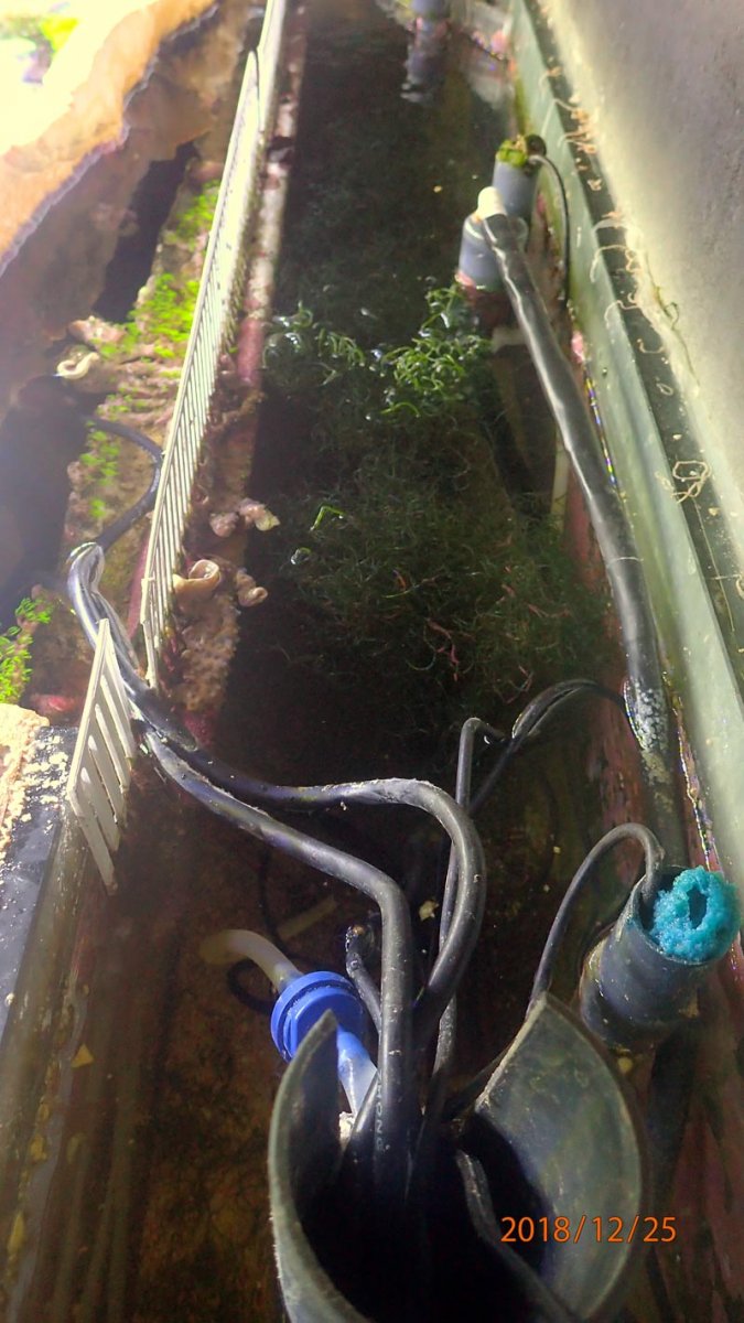 refugium.jpg