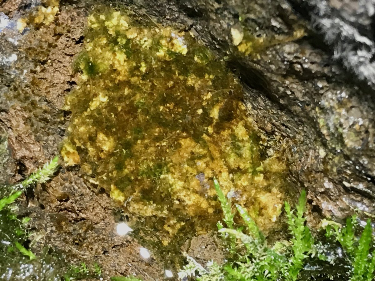 resize-5-II-24-Tufa-Waterfall-IV.jpg
