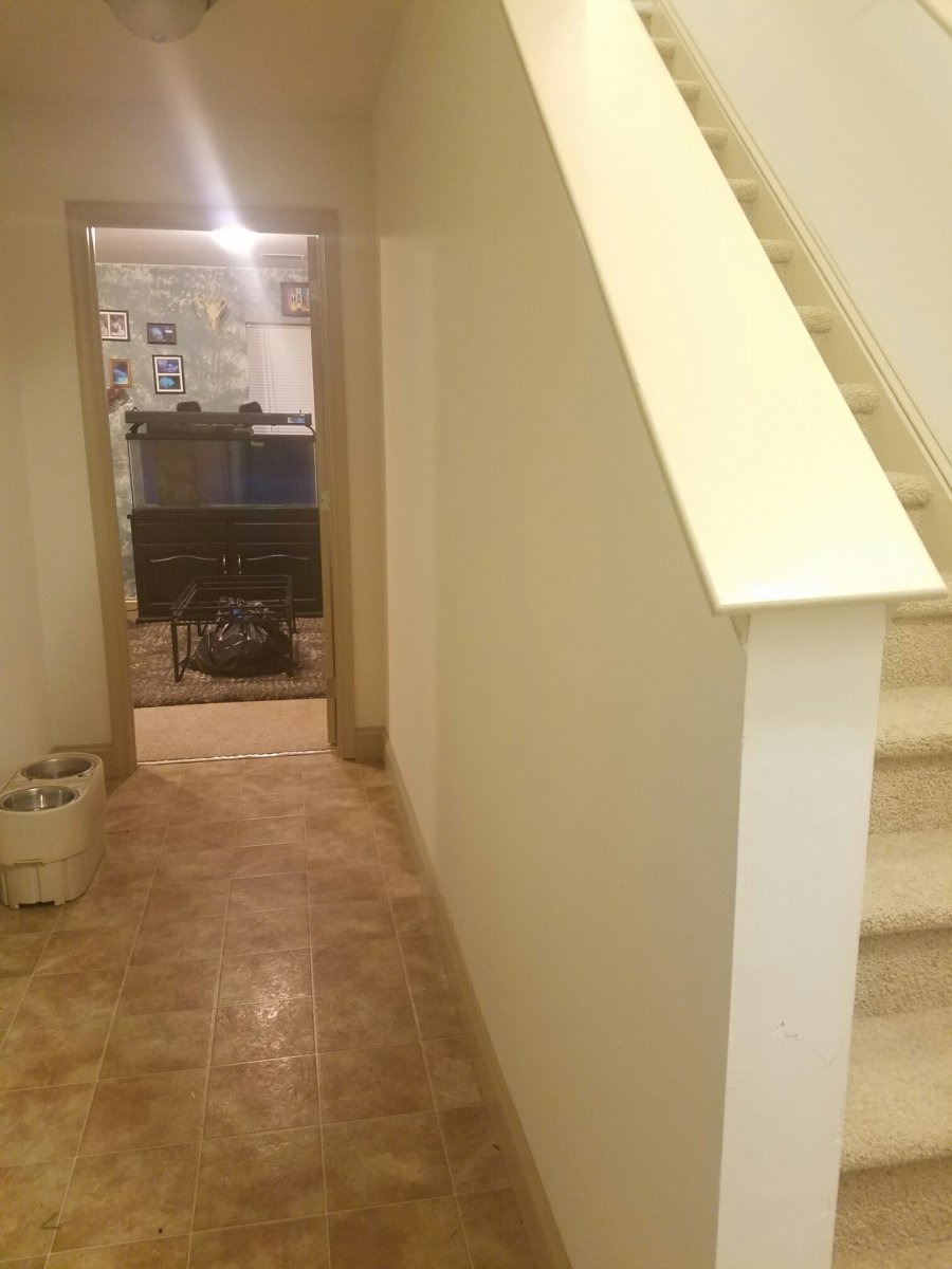 Resized_20160820_195055.jpeg