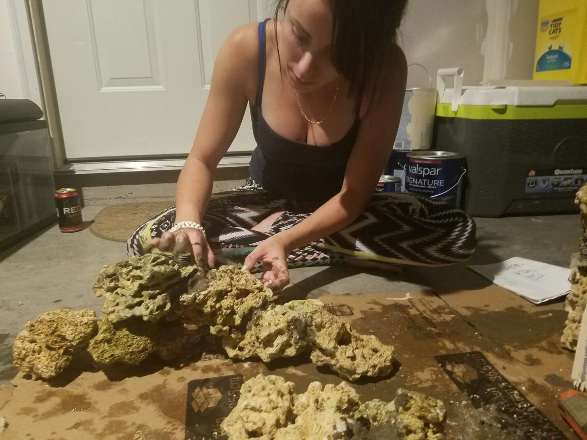 Resized_20160820_202737.jpeg