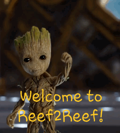 Resized_20181115_165655.gif