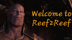 Resized_20181125_151032.gif
