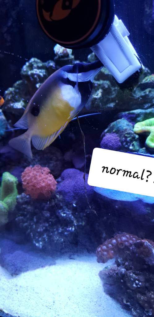 Resized_20190125_214911.jpeg