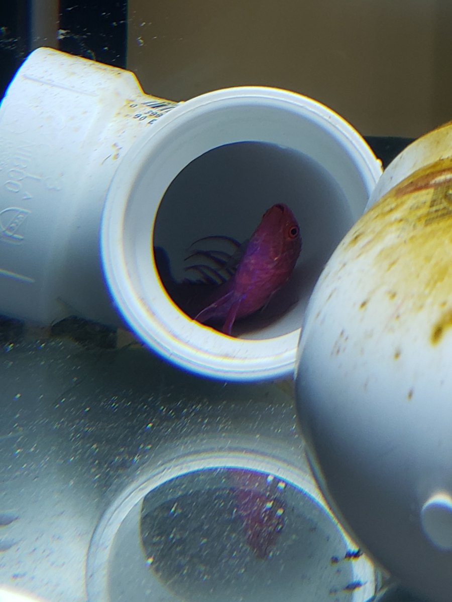Resized_20190401_100730.jpeg