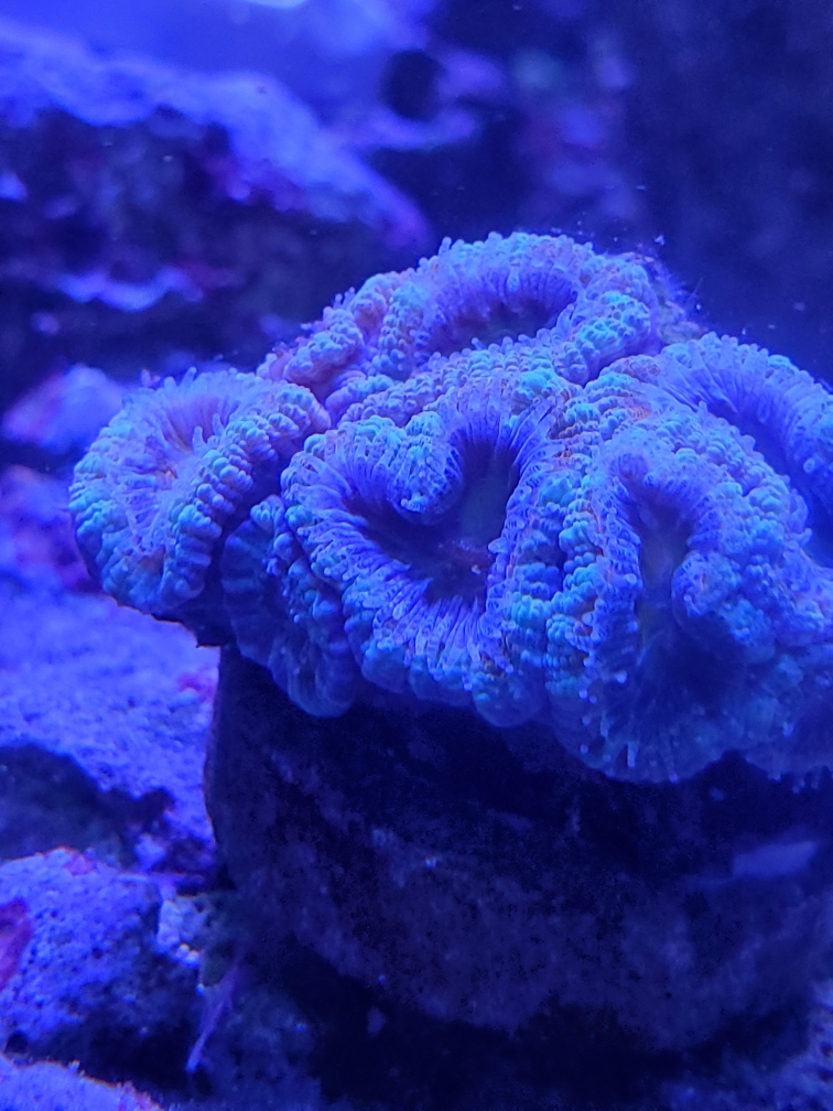 Resized_20190820_180027.jpeg