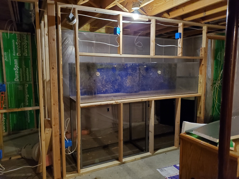 Resized_20191110_182034.jpeg