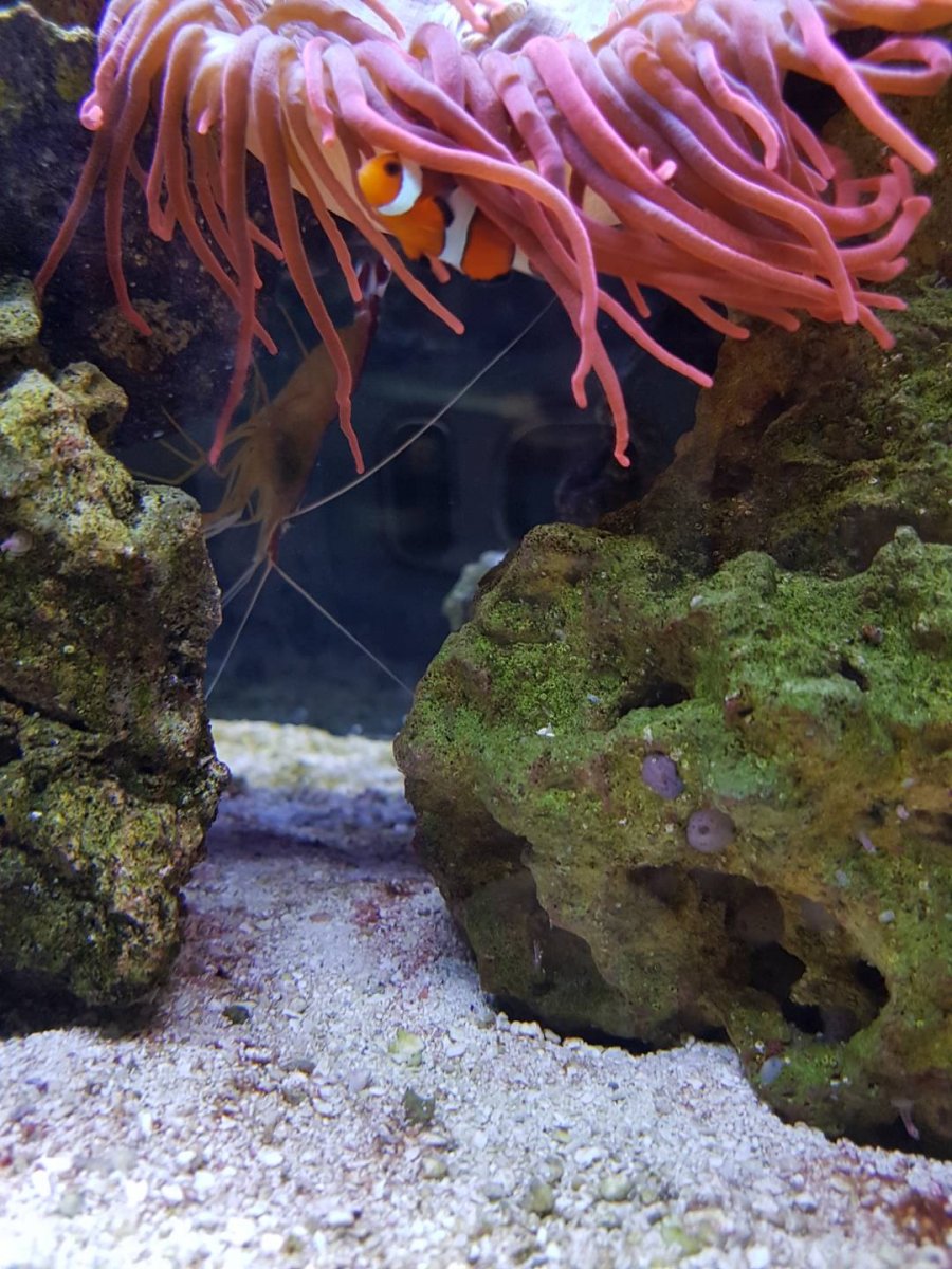 Resized_20201015_121832_54.jpeg
