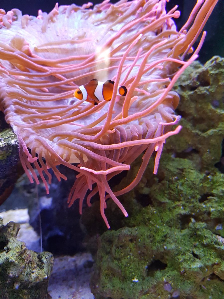 Resized_20201015_122658_8400.jpeg