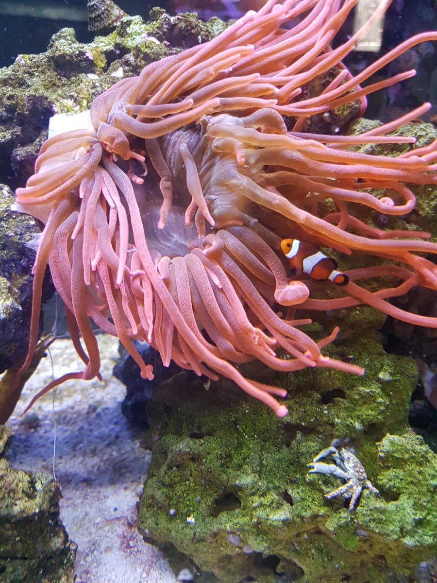Resized_20201015_125323_5297.jpeg