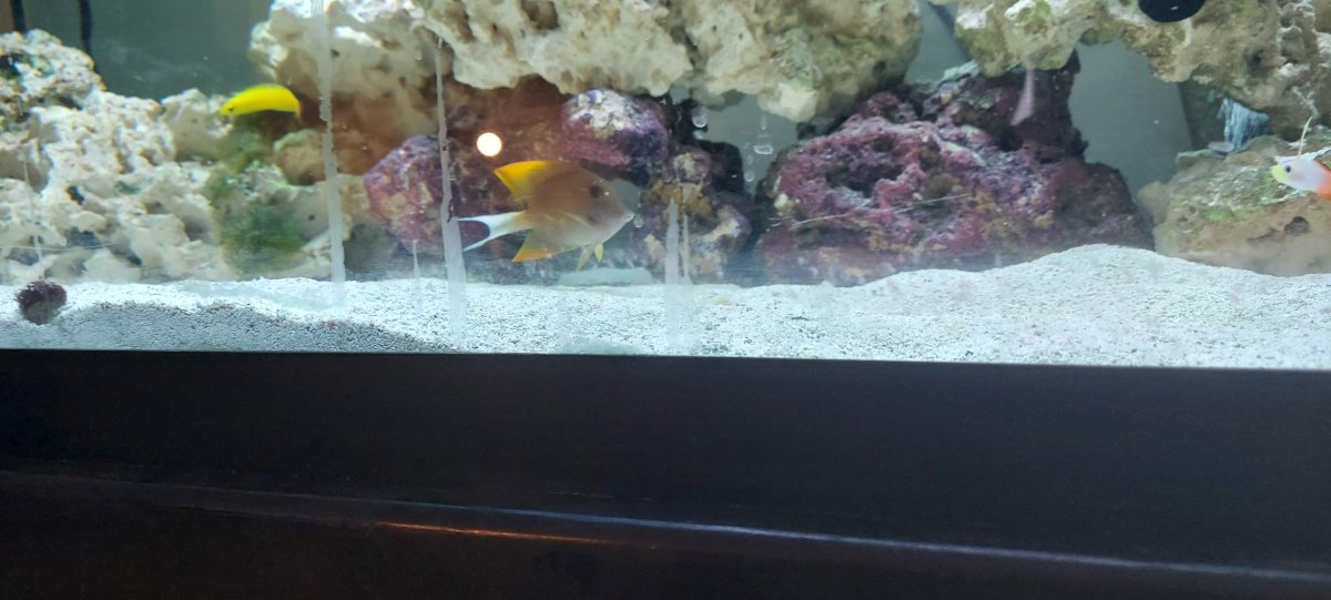 Resized_20220821_181129.jpeg