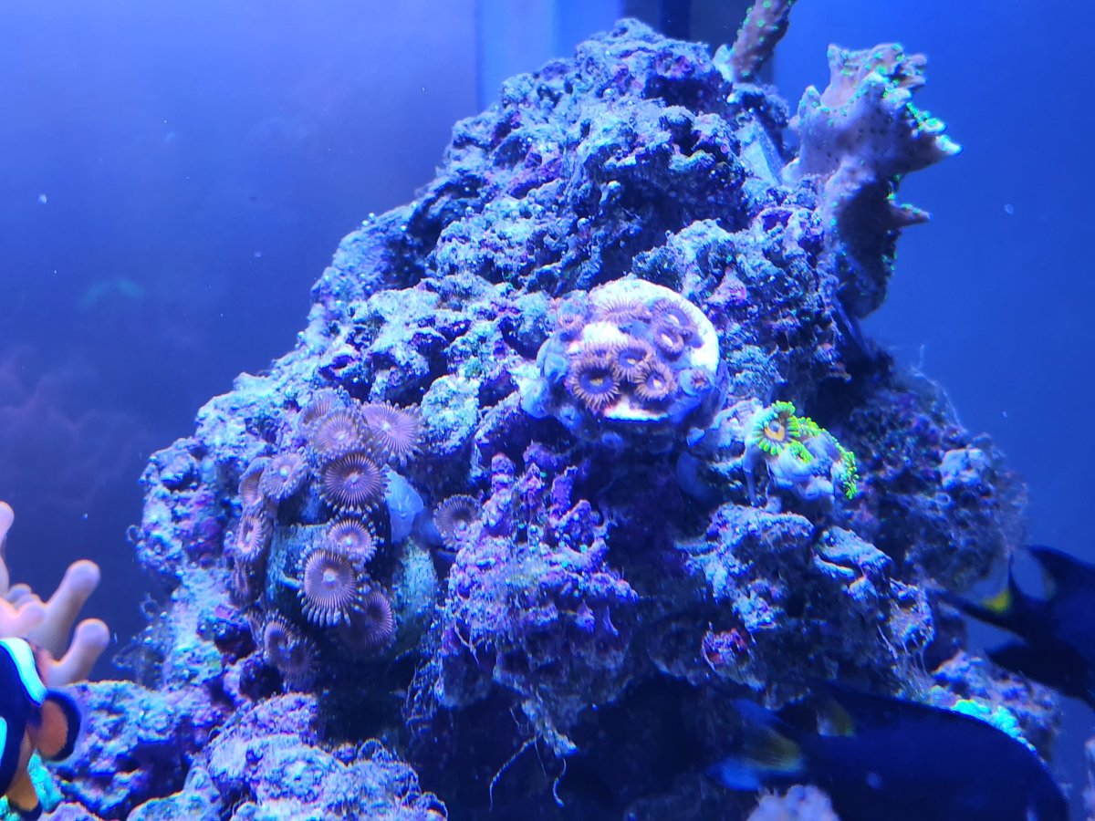 Resized_20221014_184908.jpeg