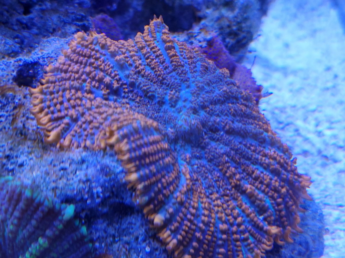 Resized_20221014_184913.jpeg