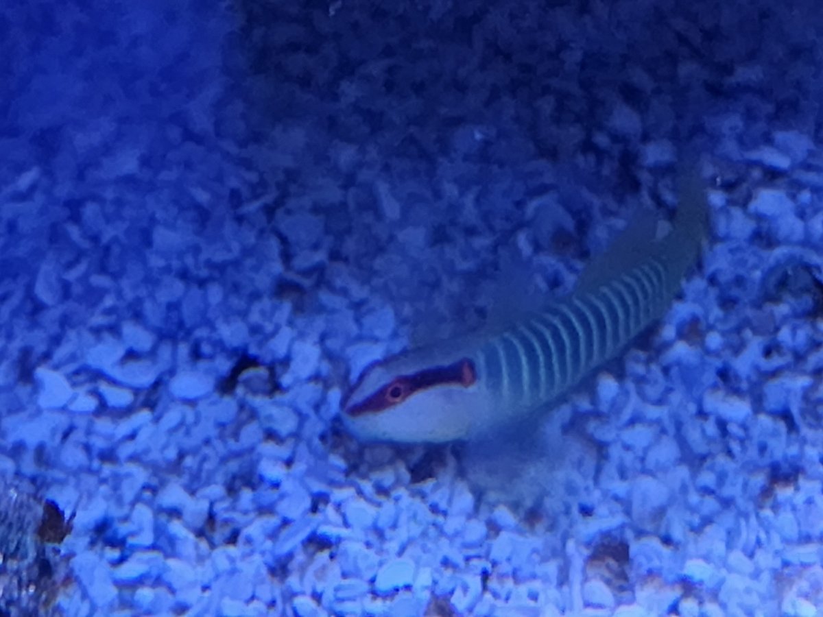 Resized_20221014_185117.jpeg