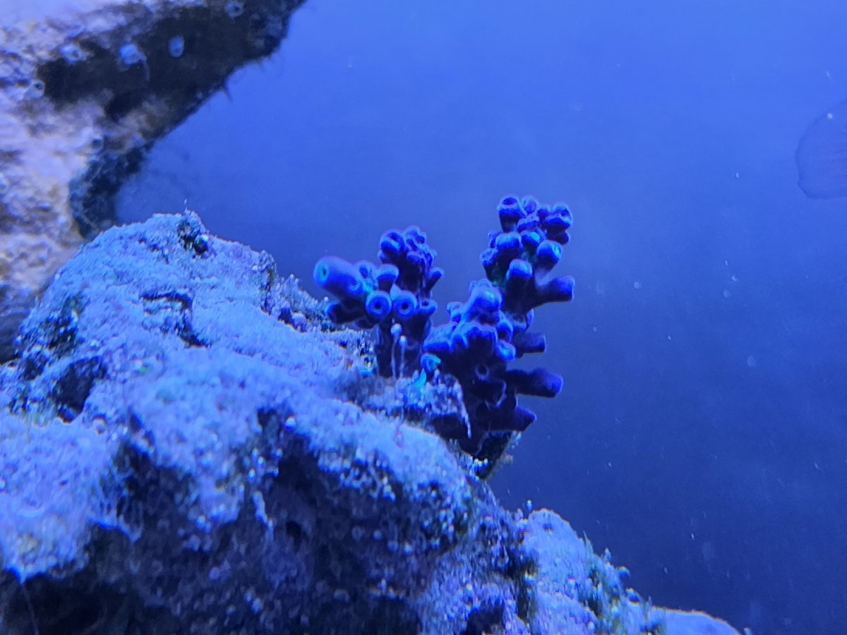 Resized_20221014_185224.jpeg