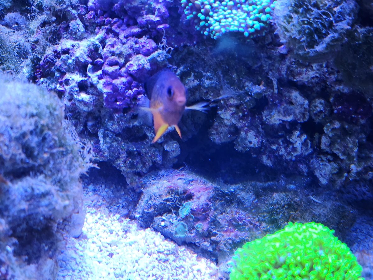Resized_20221014_185248.jpeg