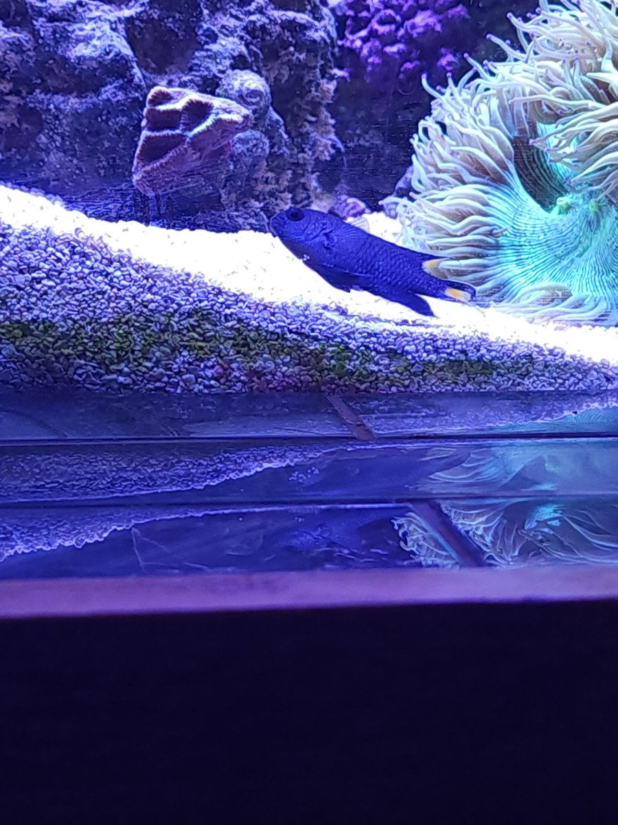 Resized_20230113_103909.jpeg