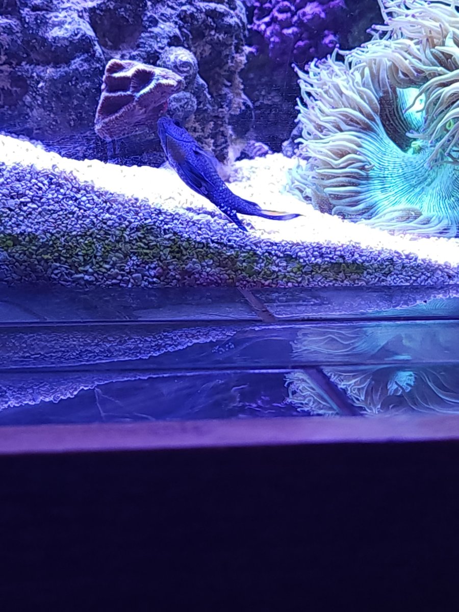 Resized_20230113_103910.jpeg