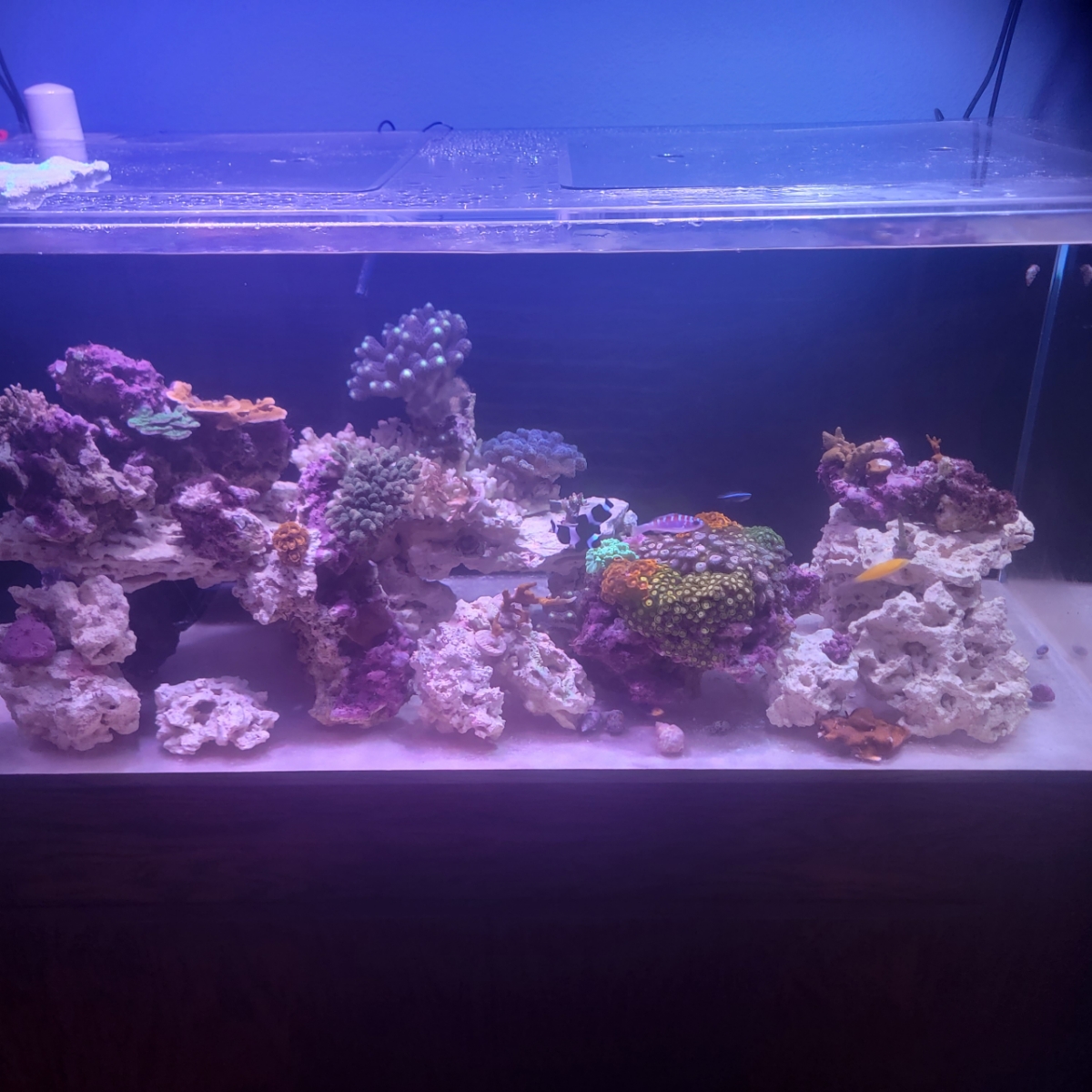 Resized_Resized_20221014_193643.jpeg