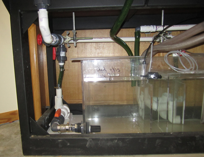 return pump sm.jpg