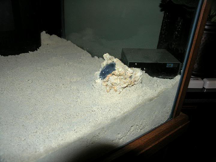 ReturnInSand.jpg