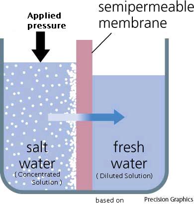 reverse_osmosis.jpg