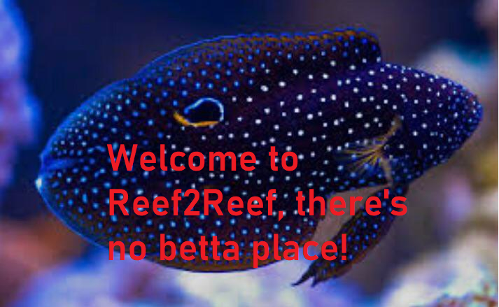 $RFYA1KX.png