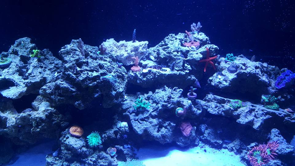 right side.jpg