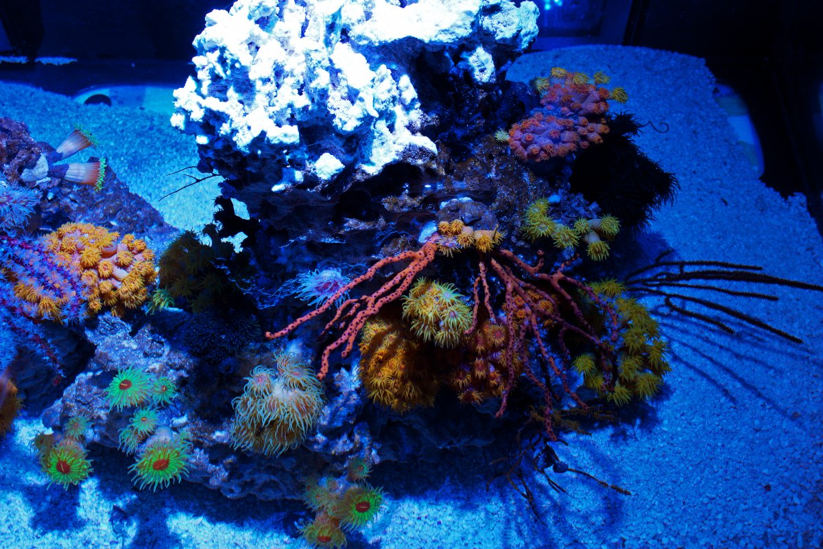 right side top view.jpg