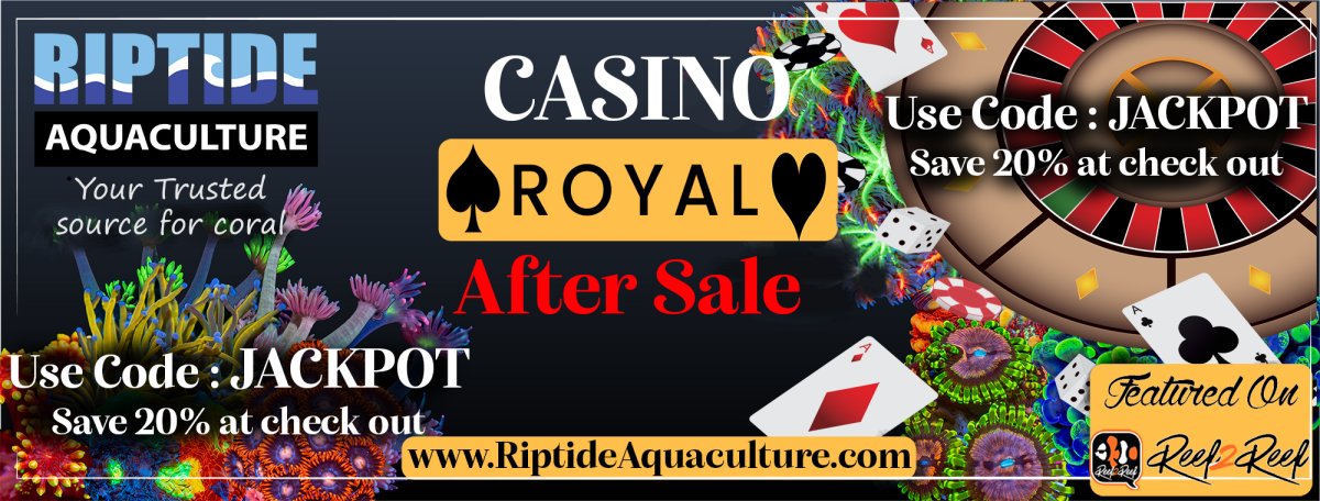 Riptide casino Royal Aftersale.jpg