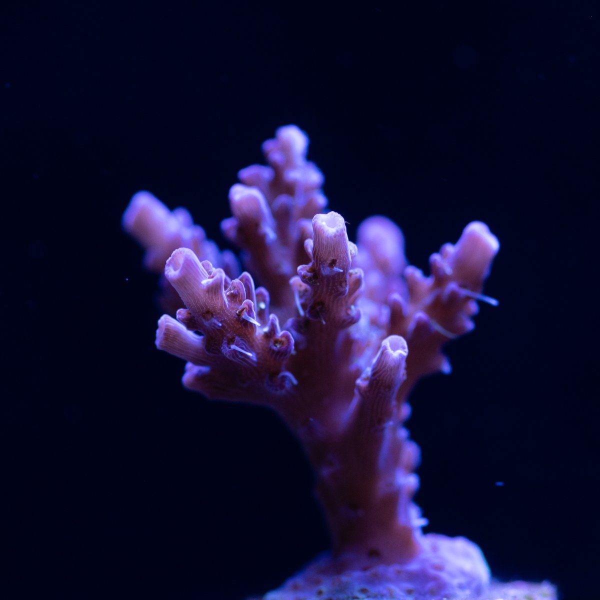 RMK_3160.jpg