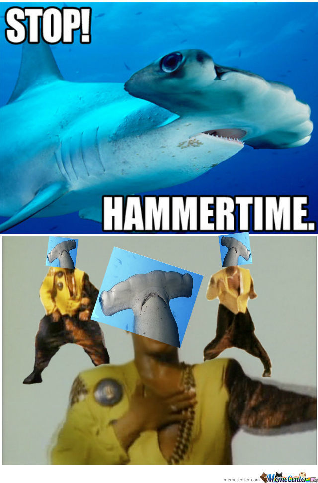 rmx-hammerhead-shark_o_622592.jpg