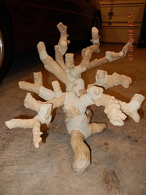 Rock.jpg