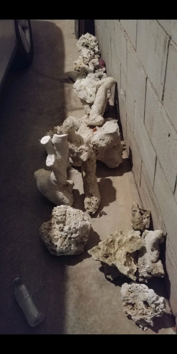 rock.jpg