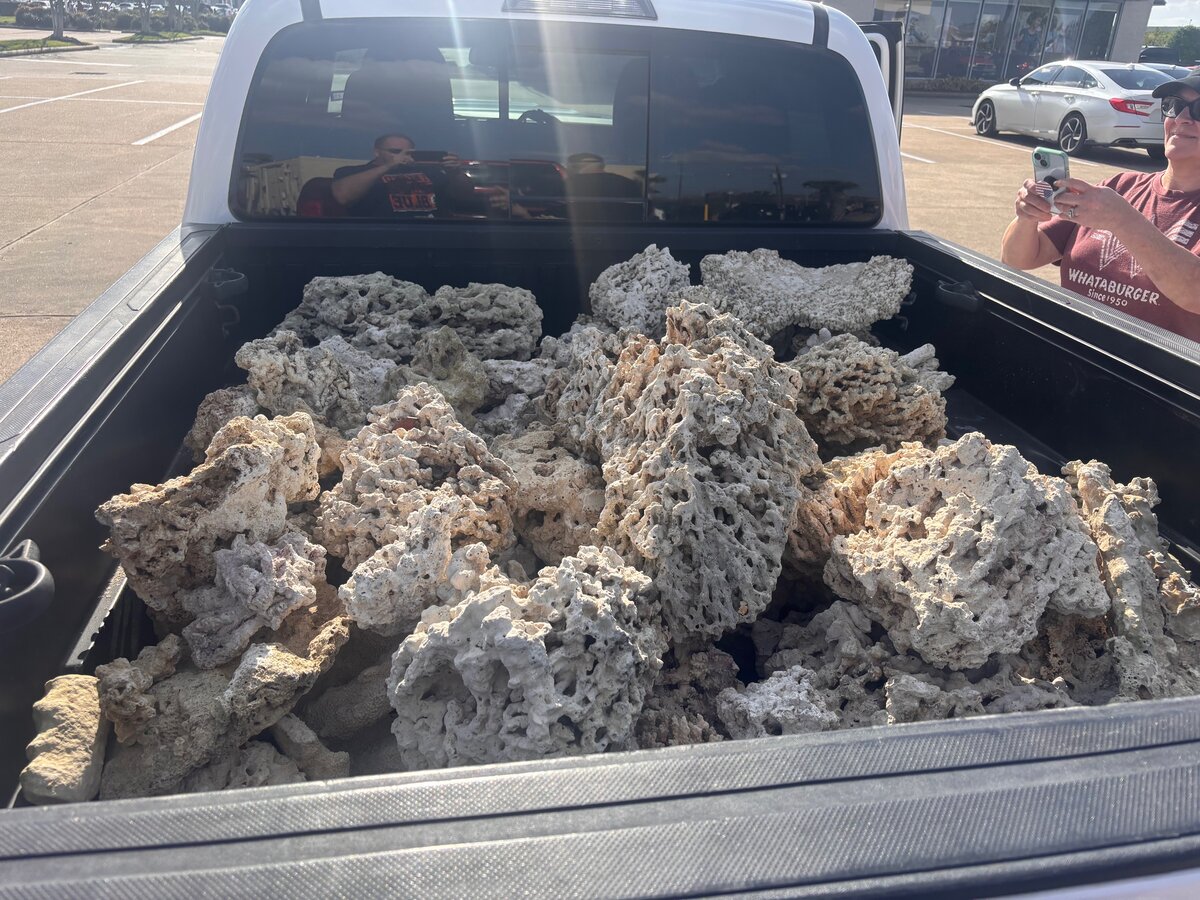 Rock.jpg
