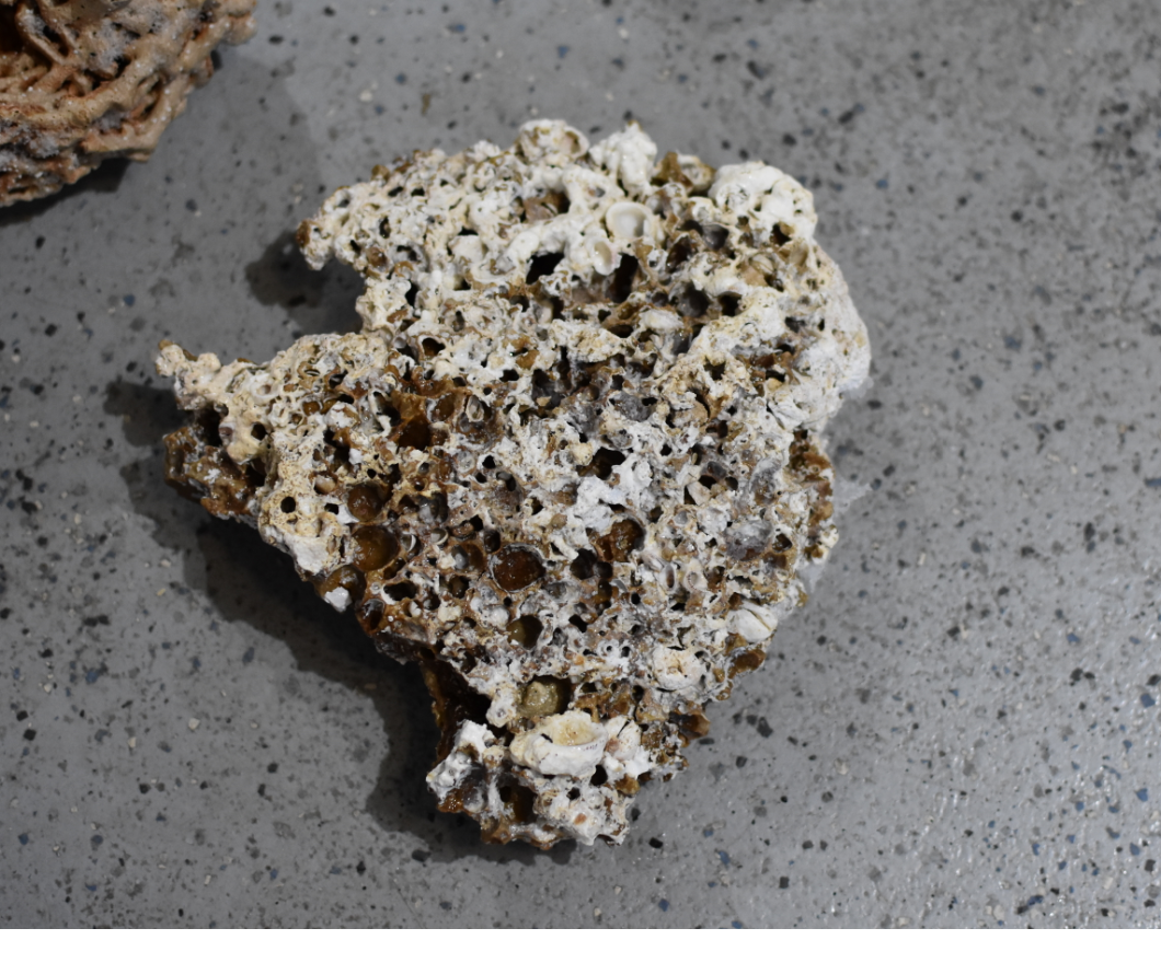 rock1.PNG