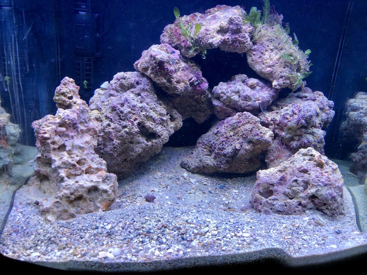 rock3.jpg