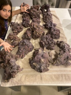 Rocks.jpg