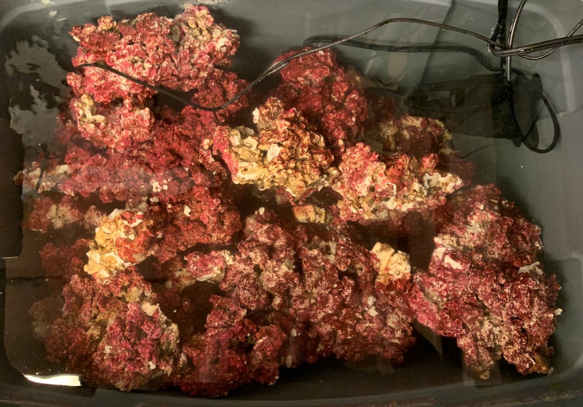 rocks.jpg