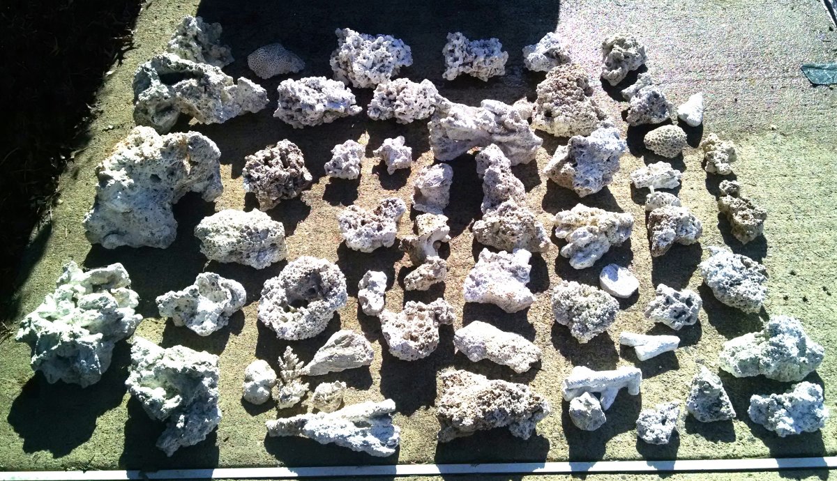 Rocks.jpg