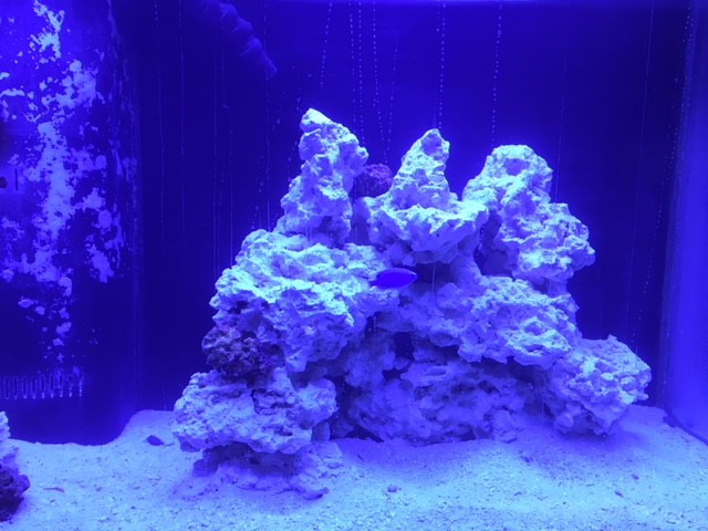rocks.jpg