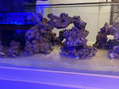 Rocks1.jpg