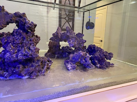 Rocks2.jpg