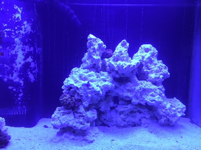 rocks2.jpg