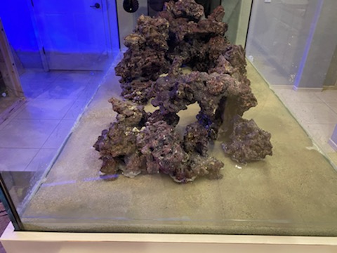 Rocks3.jpg