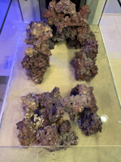 Rocks4.jpg