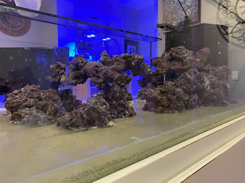 Rocks5.jpg