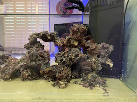 Rocks6.jpg