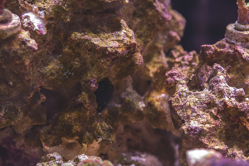 Rocks_001.jpg