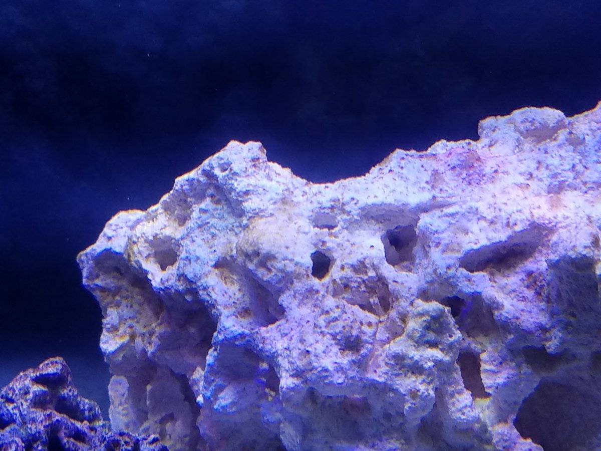 rocks_1.jpg